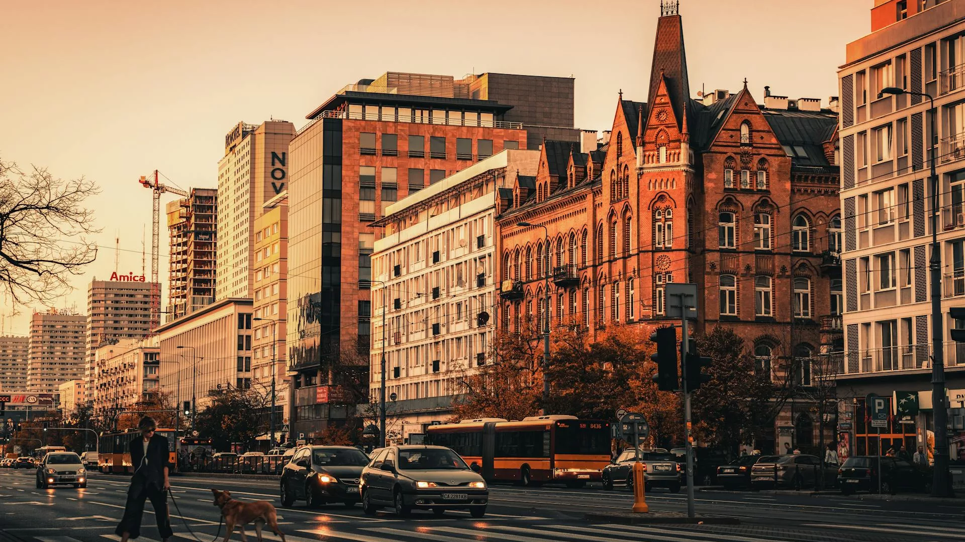 Przemysław Przespolewski