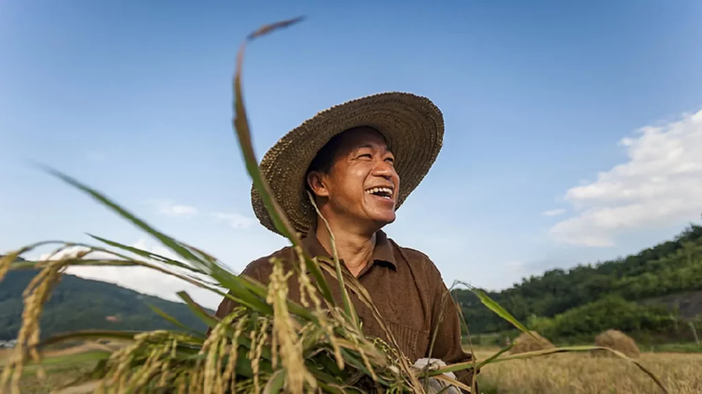 Chiny Dokument centralny nr 1