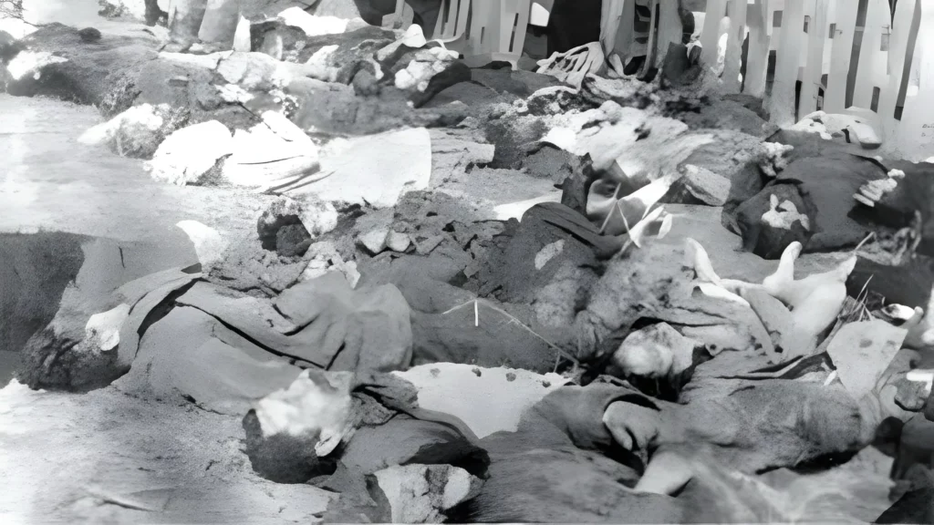 Dzień pamięci o Polakach Tomasz Wybranowski