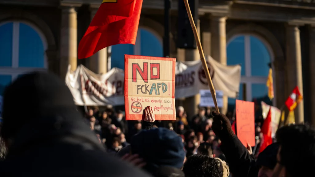 alternatywa dla niemiec afd