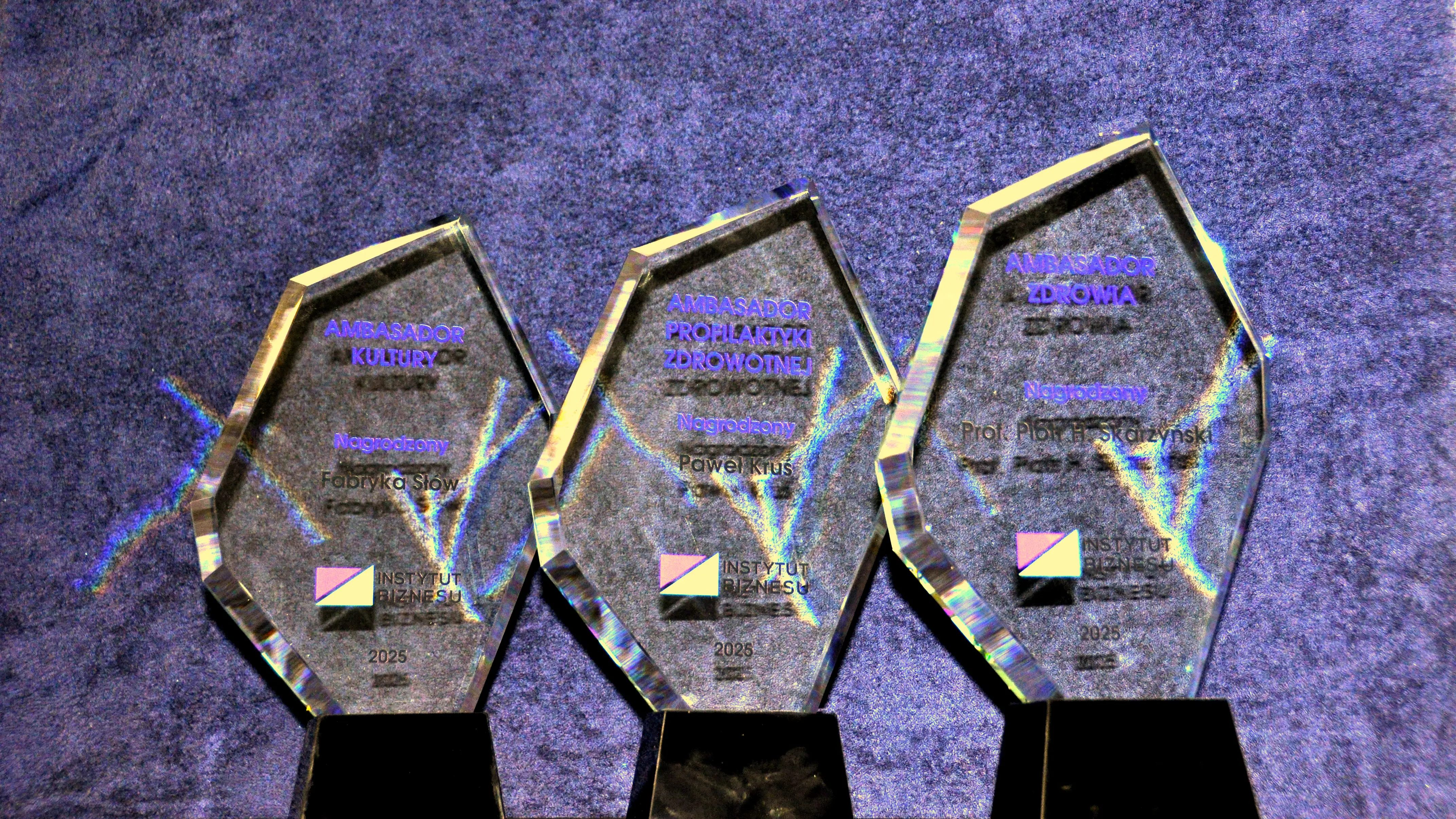 NAGRODY AMBASADOR INSTYTUTU BIZNESU