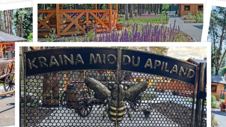 Kraina Miodu Apiland